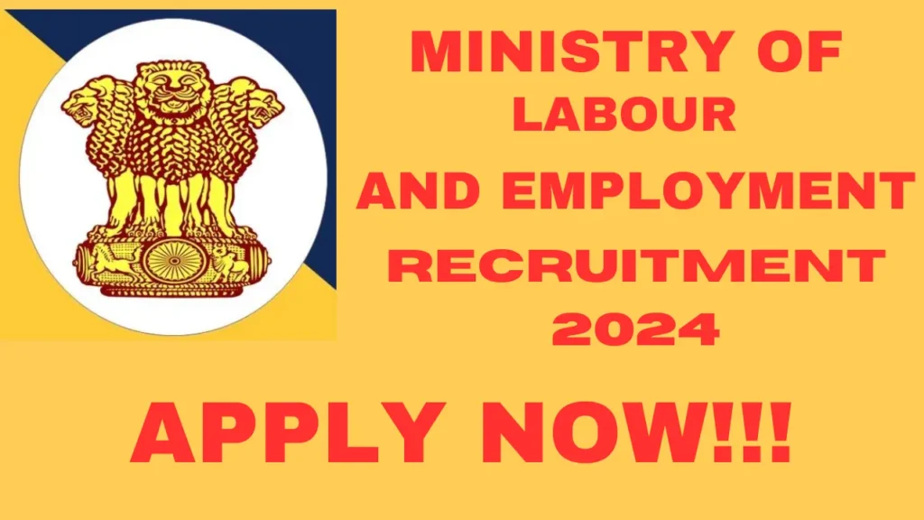 MINISTRY OF LABOUR AND EMPLOYMENT RECRUITMENT 2024: